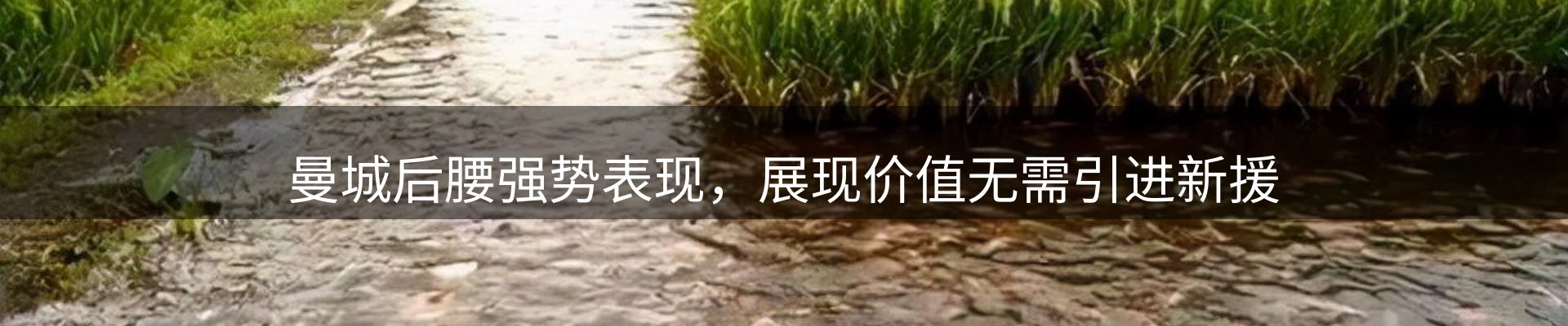 资讯汇编
