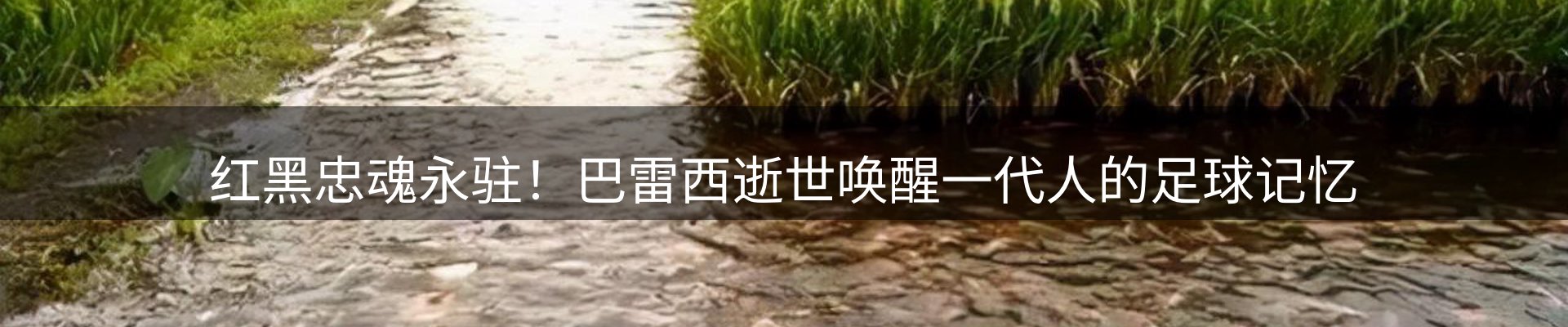 今日资讯