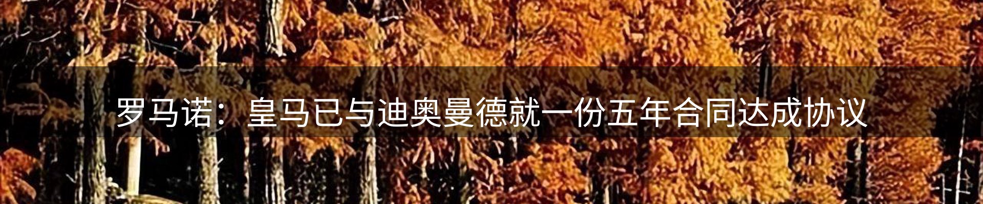 今日资讯