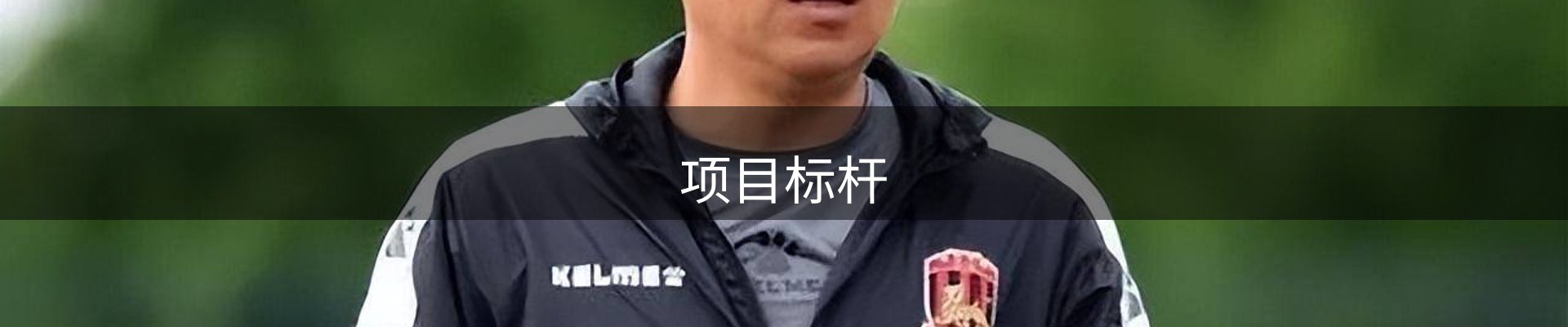 项目标杆